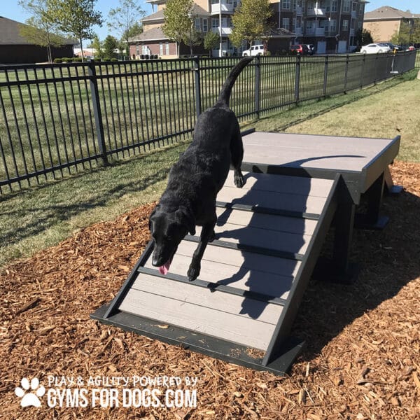 Dog Playground Equipment Bridge Climb LX 29 14 - Gyms For Dogs Dog Playground Equipment Bridge Climb LX 29 14