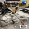 Dog Playground Equipment Luxury Climbing Boulder XL 03