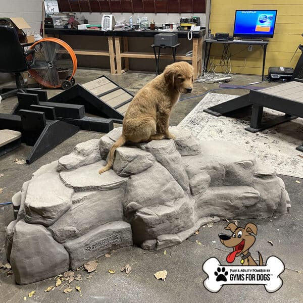 Dog Playground Equipment Luxury Climbing Boulder XL 03