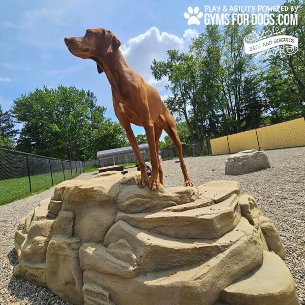 Dog Playground Equipment Luxury Climbing Boulder XL 08