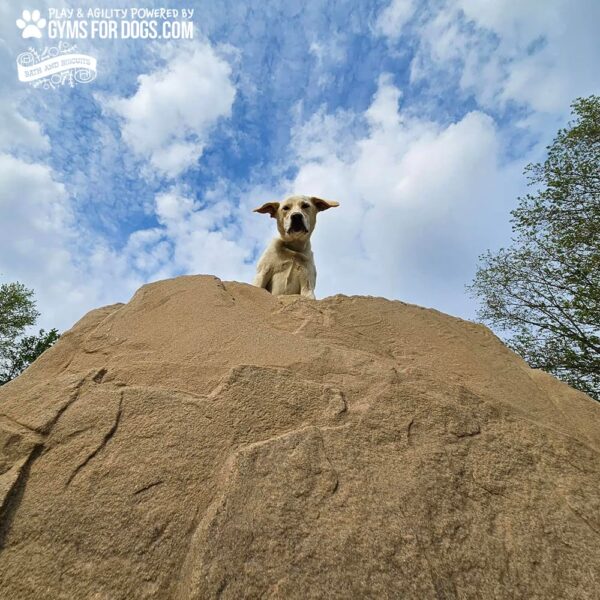 Dog Playground Equipment Luxury Climbing Boulder XL 09