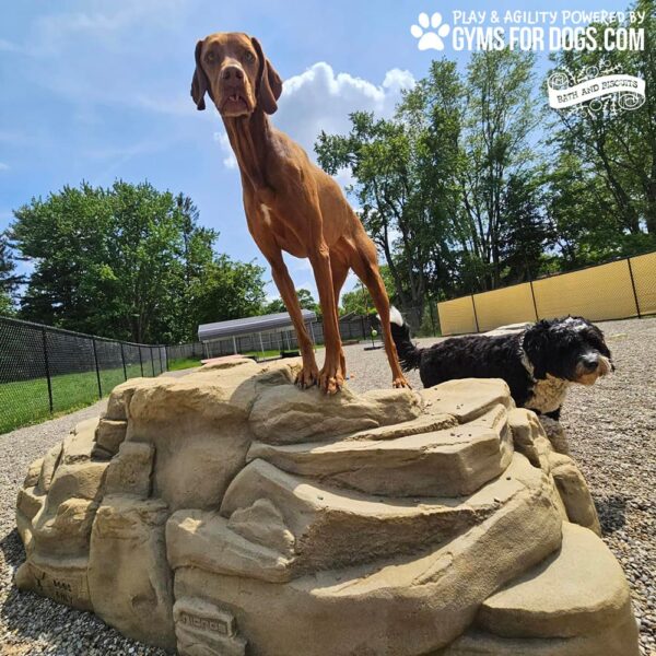 Dog Playground Equipment Luxury Climbing Boulder XL 11