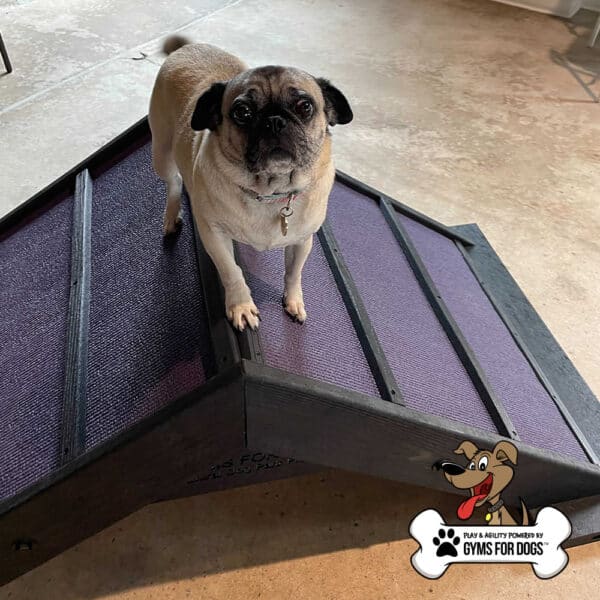 Dog Playground Equipment Mini Hill Climb SM 04 - Gyms For Dogs Dog Playground Equipment Mini Hill Climb SM 04