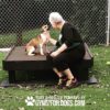 Dog Playground Equipment Training Platform LX 05