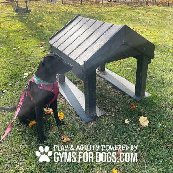 Dog Playground Equipment Tunnel House SM 01 - Gyms For Dogs Dog Playground Equipment Tunnel House SM 01
