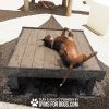 DogonBackTrainingPlatform PG26 DogonBackTrainingPlatform PG26