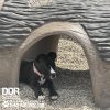 Gyms For Dogs Hammies Tunnel House SM 01