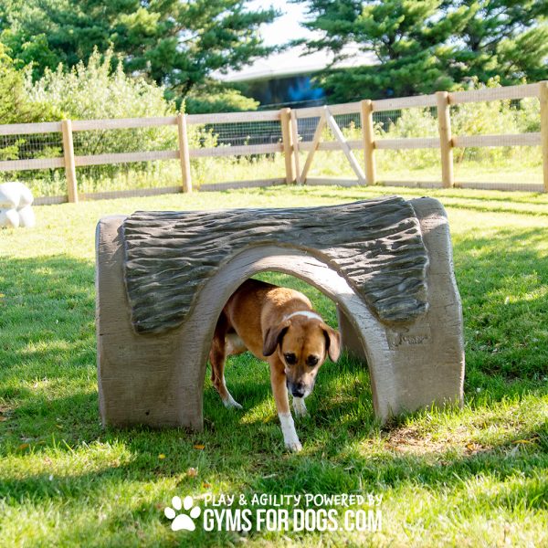 Gyms For Dogs Hammies Tunnel House SM 02