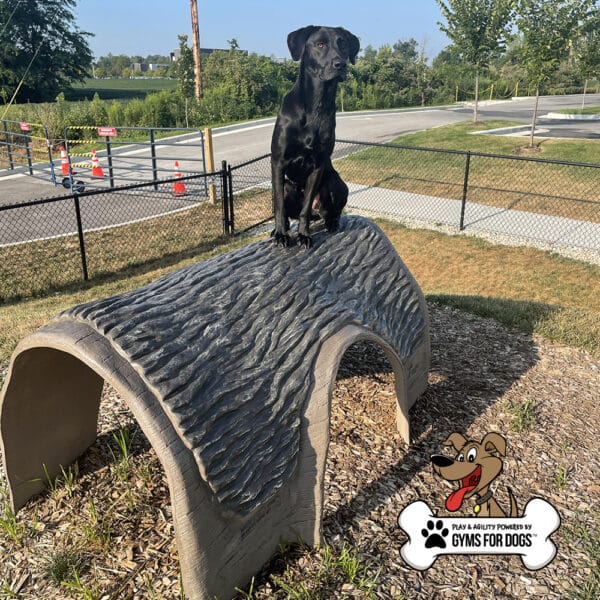 Gyms For Dogs Hammies Tunnel House SM 07