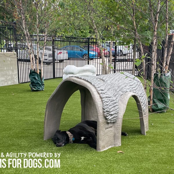 Enhance Playtime with the Durable Hammie's Tunnel House