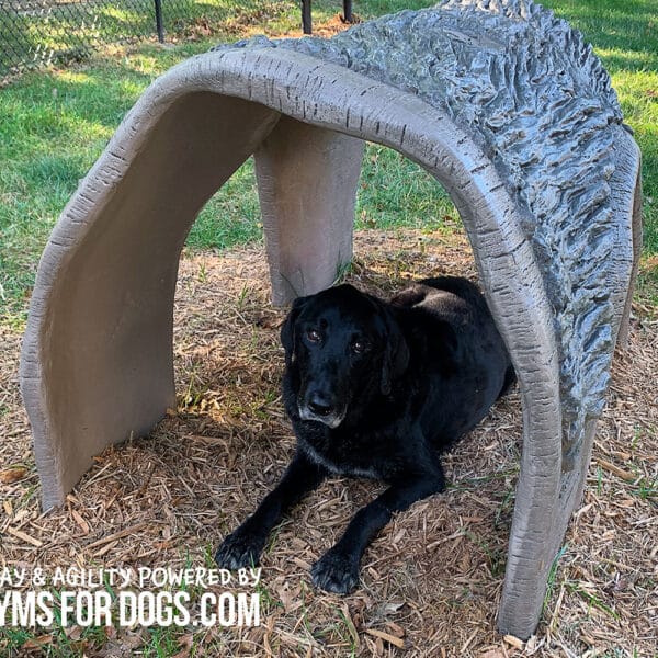 Gyms For Dogs Hammies Tunnel House SM 13