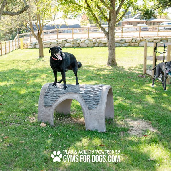 Gyms For Dogs Hammies Tunnel House SM RustysRanch2