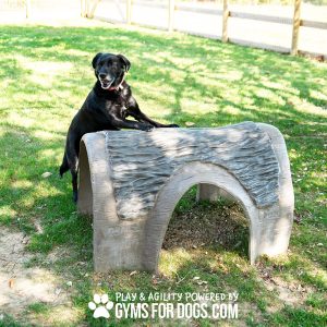 Gyms For Dogs Hammies Tunnel House SM RustysRanch3