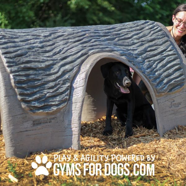 LARGE Gyms For Dogs Hammies Tunnel House LX 02
