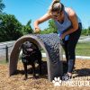 LARGE Gyms For Dogs Hammies Tunnel House LX 04