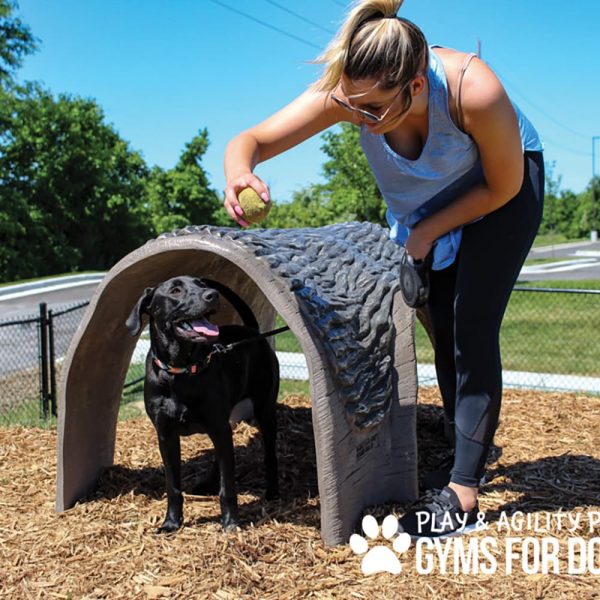 LARGE Gyms For Dogs Hammies Tunnel House LX 04