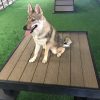 Training Platform Nutmeg Training Platform Nutmeg
