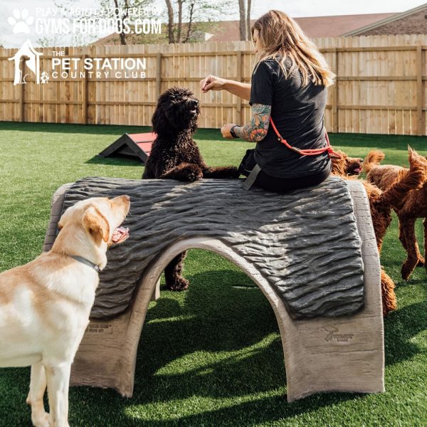 large Gyms For Dogs Hammies Tunnel House LX 06
