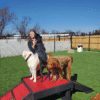 Fetch Pet Resort Swell NJ 14 2 Fetch Pet Resort Swell NJ 14 2