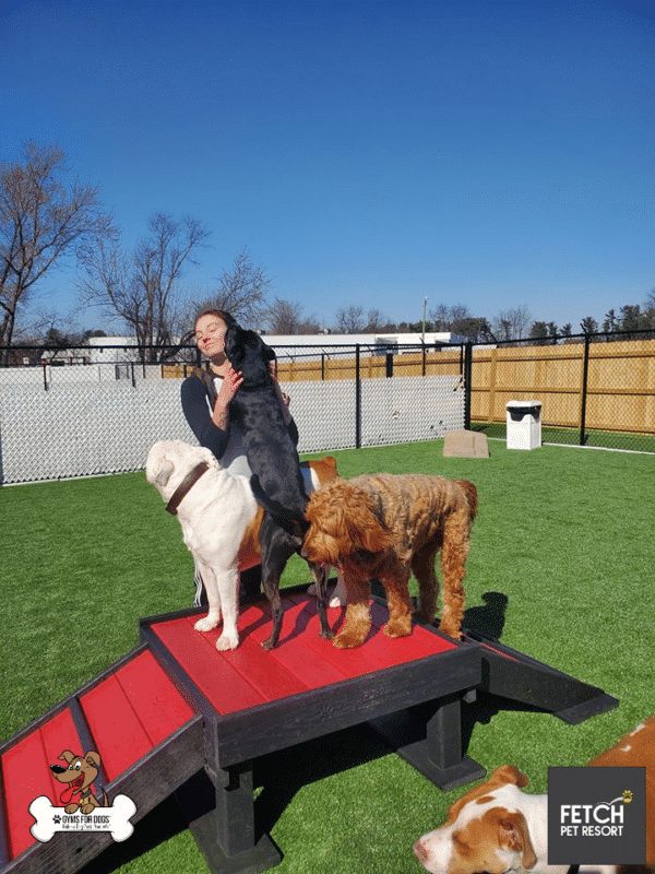 Fetch Pet Resort Swell NJ 14 2