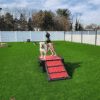Fetch Pet Resort Swell NJ 3 2 Fetch Pet Resort Swell NJ 3 2