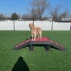 Fetch Pet Resort Swell NJ 36 2 Fetch Pet Resort Swell NJ 36 2