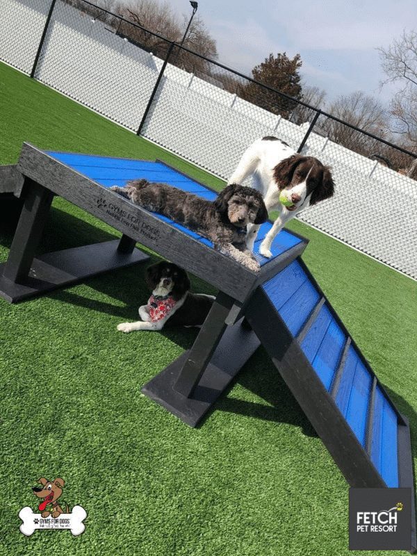 Fetch Pet Resort Swell NJ 43 2