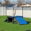 Fetch Pet Resort Swell NJ 47 2 Fetch Pet Resort Swell NJ 47 2
