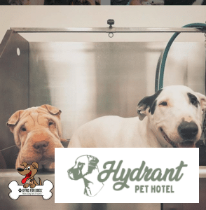 Hydrant Pet Hotel 2