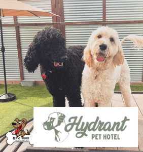 Hydrant Pet Hotel 3