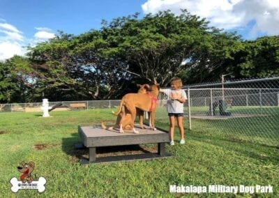 Makalapa Military Dog Park 1