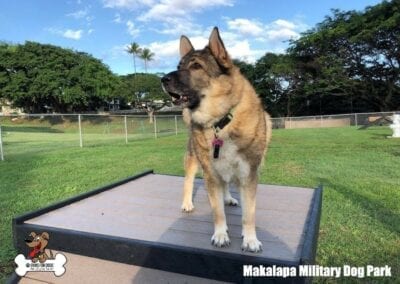 Makalapa Military Dog Park 5