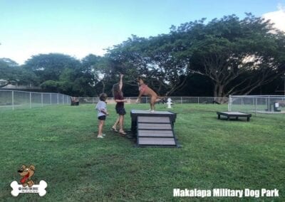 Makalapa Military Dog Park 6