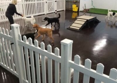 Playtime Pup Ranch 1