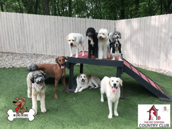 THE PET STATION COUNTRY CLUB Louisville Kentucky 28
