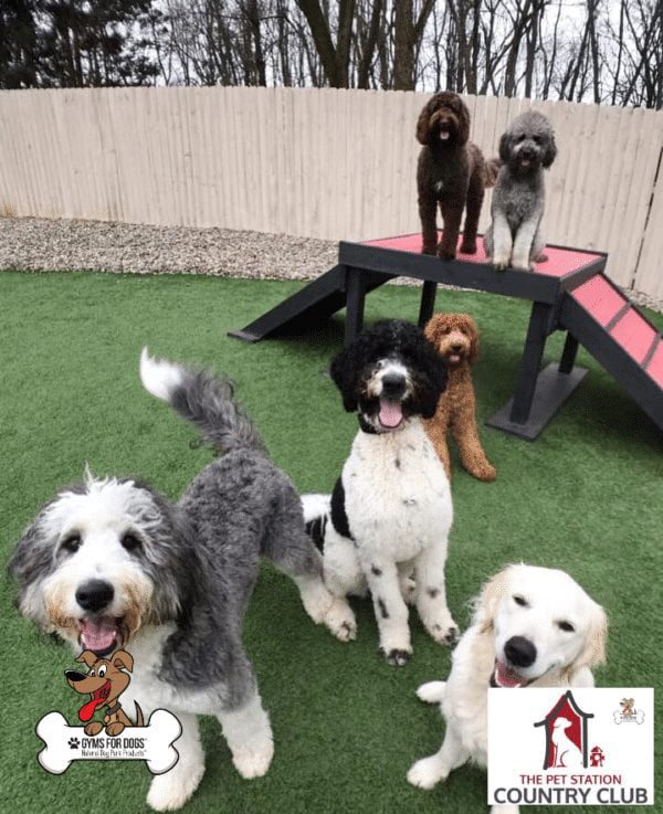 THE PET STATION COUNTRY CLUB Louisville Kentucky 38