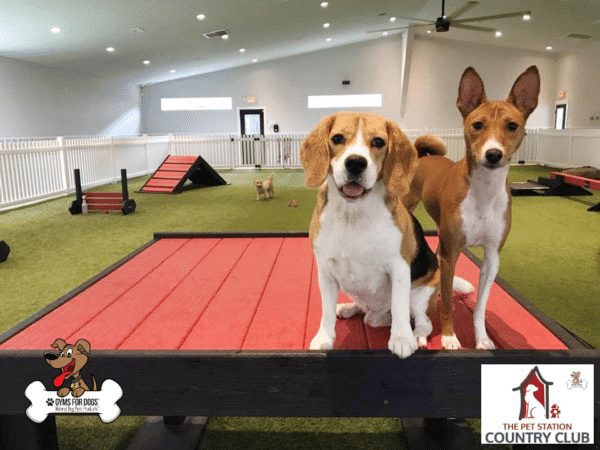THE PET STATION COUNTRY CLUB Louisville Kentucky 39