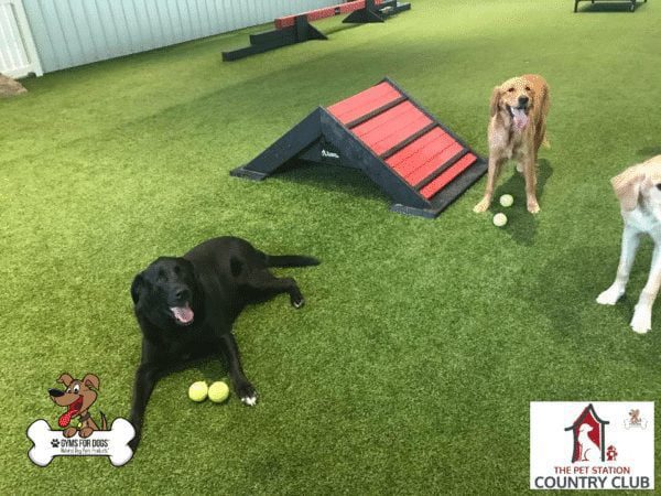 THE PET STATION COUNTRY CLUB Louisville Kentucky 42