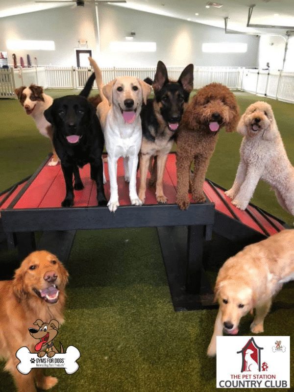 THE PET STATION COUNTRY CLUB Louisville Kentucky 5