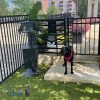 IMG 3966