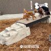 dog park equipment ellies boulder bridge st 03