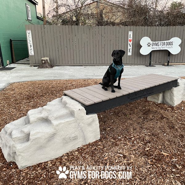 dog park equipment ellies boulder bridge st 05