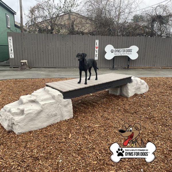 dog park equipment ellies boulder bridge st 17