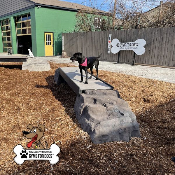 dog park equipment ellies boulder bridge st 18