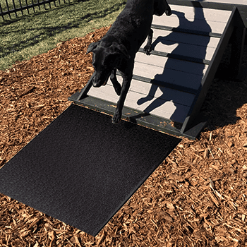 dog agility mat