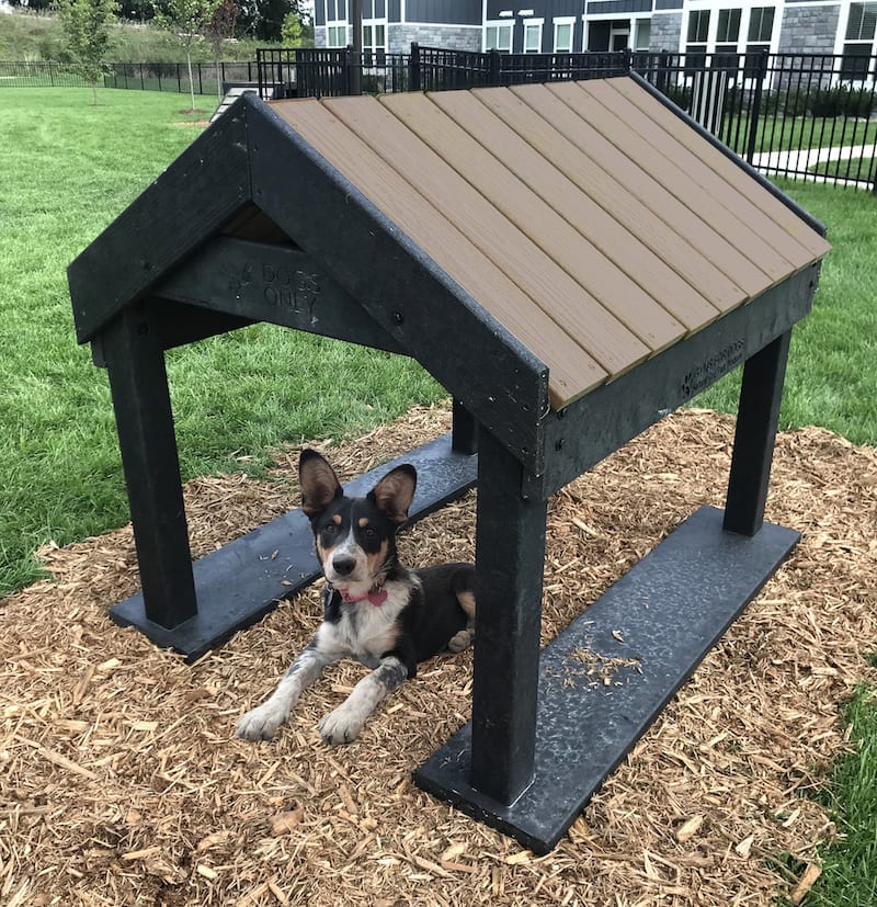 dog playground tunnel house