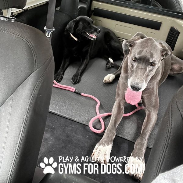 AgilityMat JumpDog 1 - Gyms For Dogs AgilityMat JumpDog 1