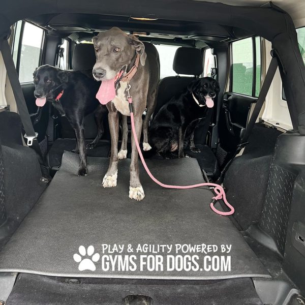 AgilityMat JumpDog 2 - Gyms For Dogs AgilityMat JumpDog 2