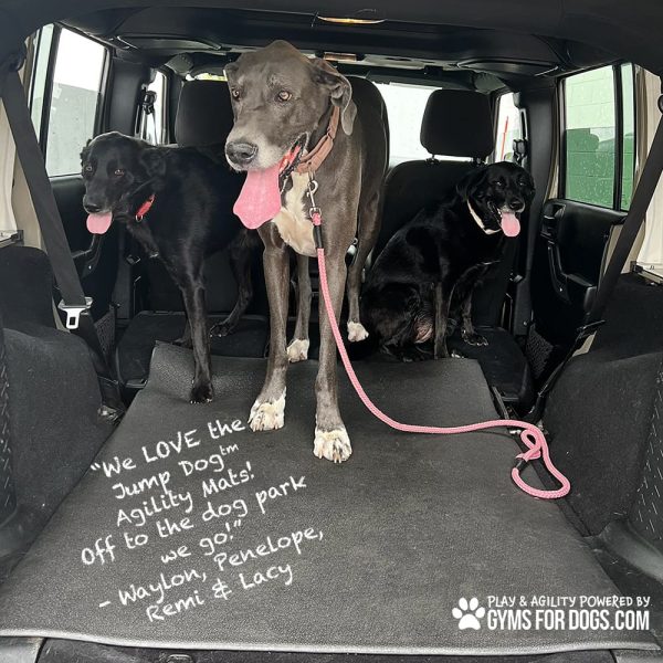 AgilityMat JumpDog 4 - Gyms For Dogs AgilityMat JumpDog 4