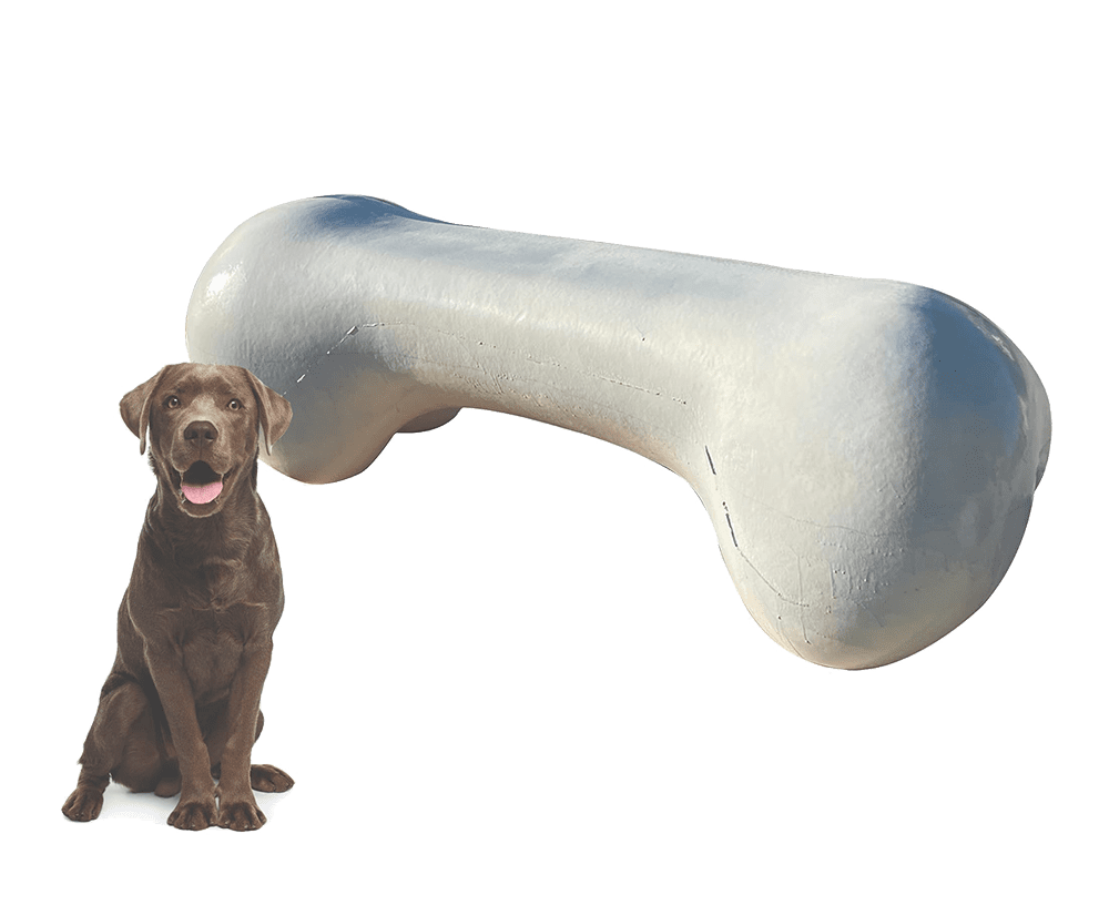 dog park for sale